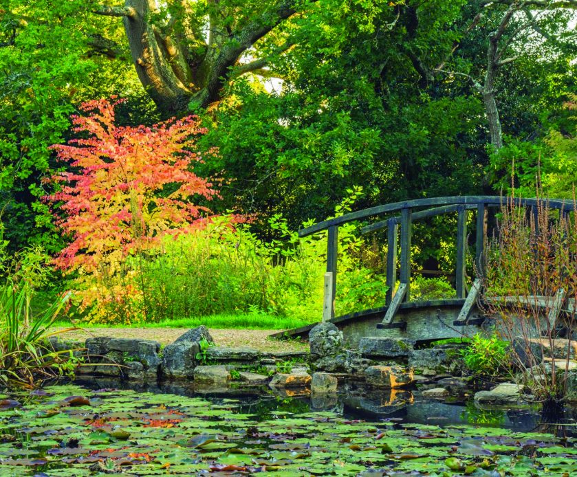 Best Things To Do In The New Forest | Bartley Lodge